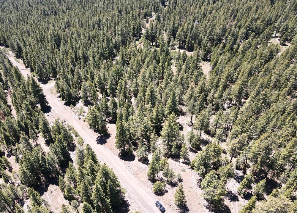 Photo_6553798_DJI_198_jpg_10100510_0_202262214230_photo_original.jpg (1)