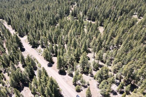 Photo_6553798_DJI_198_jpg_10100510_0_202262214230_photo_original.jpg (1)