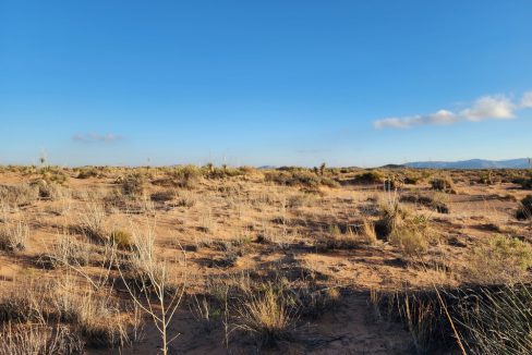 20240905_073745 (1)